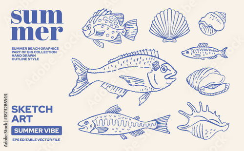 Fish sardine, food illustration. Doodle sea food drawing. Tuna, salmon, mackerel, sardine, scallop vector. Sketch graphic with Mediterranean seafood. Plate icon, vintage chalk pattern. Sea cooking bg