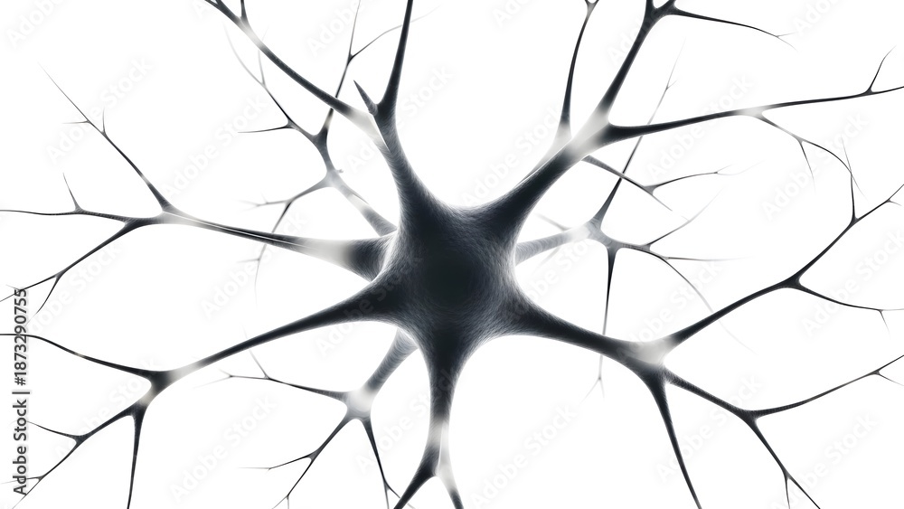 Obraz premium Neuron cell structure with dendrites and axon