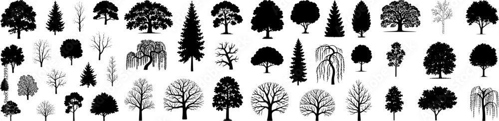 Fototapeta premium Collection of black tree silhouettes including deciduous and conifer trees. Nature and forest vector elements for logos, prints, posters, laser cutting and design projects.