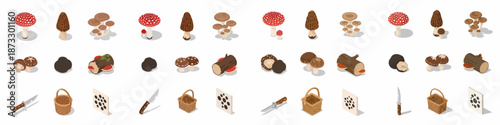 Isometric Mushroom Icon Set: Collection of fungi species including Amanita, Morel, Truffle, Shiitake, log mushrooms, plus foraging tools like baskets and knives.