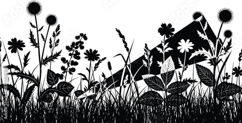 Black and white wildflower meadow border silhouette with thistle flowers and decorative grasses on white background for nature inspired floral design,