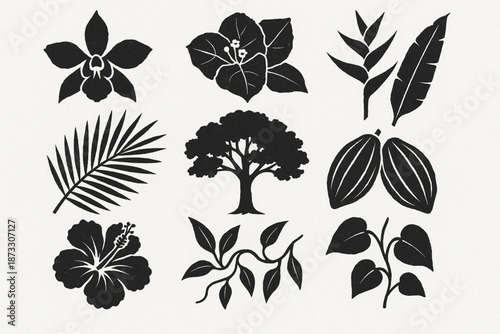 Belize tropical flora vector silhouettes with torn textured style on white background