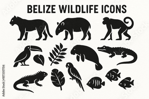 Belize wildlife vector silhouettes with distressed torn texture on white background
