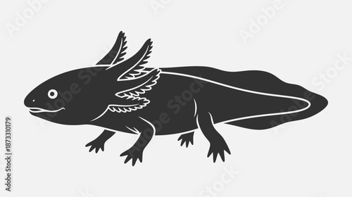 An axolotl is depicted in a black silhouette against a white background in a simple illustration.