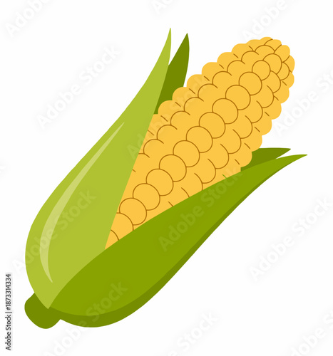 A single ear of corn with yellow kernels and green husks a white background maize grain