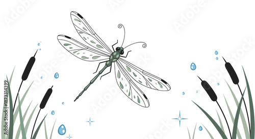Detailed illustration of a dragonfly flying over reeds with water droplets for a calm and artistic nature-inspired scene.