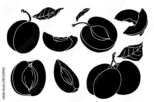 Set of summer apricot silhouettes and seasonal fruit slices. Vector graphics.