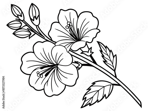 Hollyhock blossom tall flowering plant art on white background