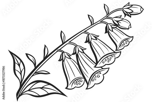 Foxglove blossom medicinal plant illustration on white background