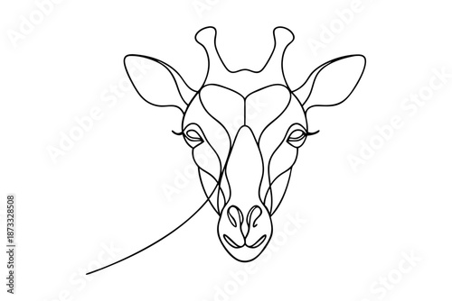 Line drawing giraffe head wildlife animal outline illustration
