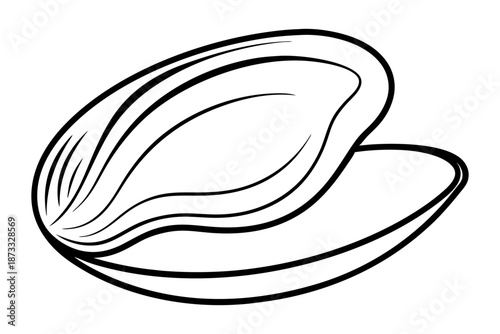 Line drawing mussel shell seafood ocean animal outline art