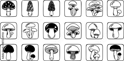 Outline set of black and white vector mushrooms icon collection