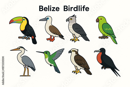 Belize Birdlife Icon Set with Tropical Birds and Wildlife