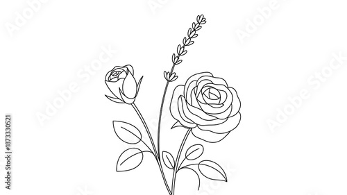 Clean Continuous Line Rose Lavender Bouquet Sketch | Botanical Art Outline