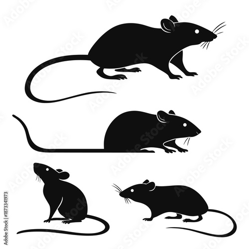 A collection of black rat illustrations showing various poses and sizes a striking silhouette high quality