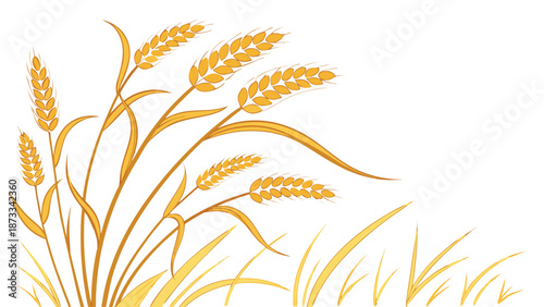 Golden wheat stalks and sprigs gracefully arranged against a clean white backdrop a stunning silhouette