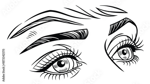 Detailed illustration of a pair of female eyes with long eyelashes a striking artistic silhouette