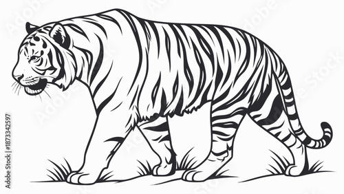 a detailed black and white illustration of a majestic tiger walking through tall grass silhouette