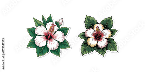 Flower collection, floral design elements vector set.