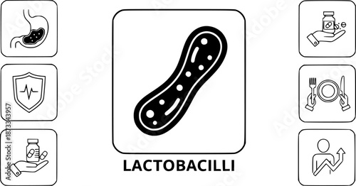 Lactobacilli icons set. Maintaining good digestive health with probiotics, enhancing immunity, and preventing infections with healthy food and medicine