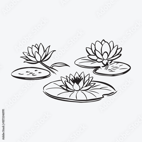 Vector floral background with flowers and leaves illustration
