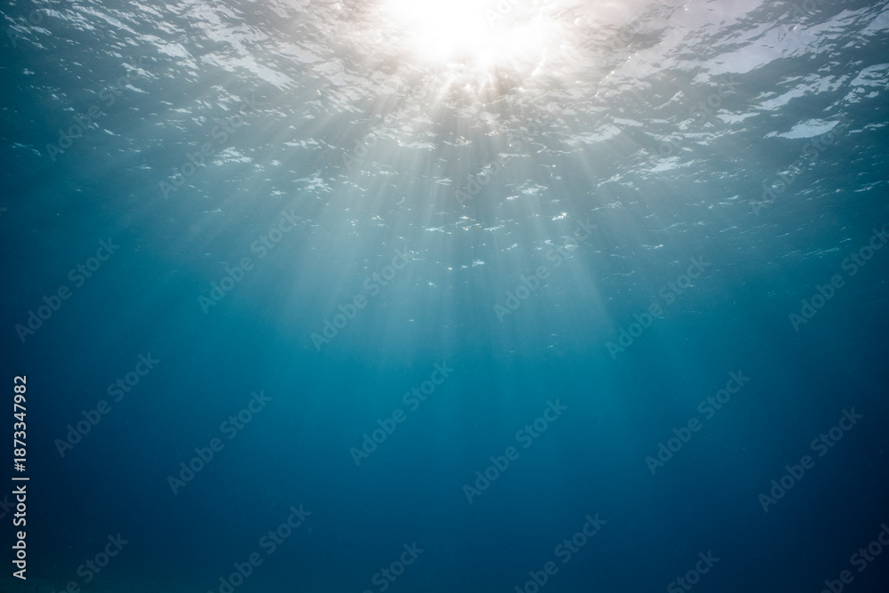 Fototapeta premium Sunlight shines through water in the Red Sea near coral reefs