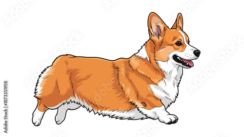 Happy Pembroke Welsh Corgi Dog Running Vector Illustration. Cute Pet Animal on White Background.