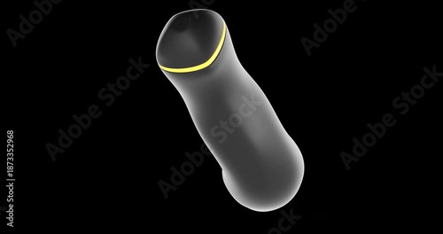 Black rabbit vibrator rotation animation seamlessly loopable. 3D rendering isolated on transparent background