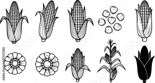 Outline set of black and white vector Corn icon collection