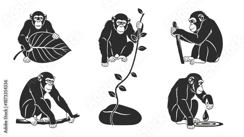 Chimpanzee Behavior and Tool Use Vector Set. Graphic illustrations of primate intelligence, nature interaction, and daily activities.