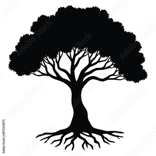 Black Silhouette of a Tree.