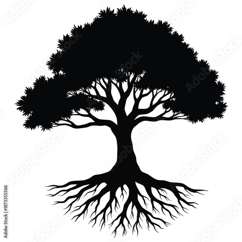 Silhouette of a Tree with Roots.
