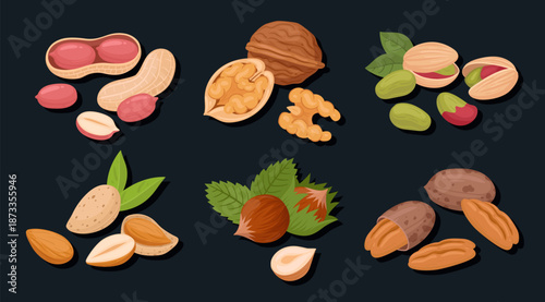 Nuts handfuls. Raw nuts mix, almond, macadamia and walnut mix, vegetarian diet organic snack flat vector illustration set. Delicious nuts