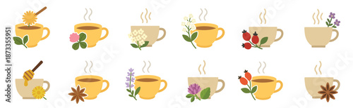 Collection of herbal tea cups illustrated in a simple flat design, a set of icons showing hot drinks with various natural ingredients like flowers, spices, berries, and honey