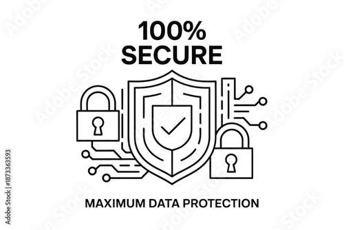 A graphic illustration of 100 percent secure maximum data protection online
