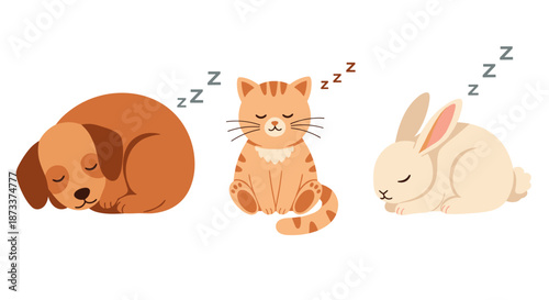 Adorable Sleeping Animals Cartoon Illustration Featuring a Dog, Cat, and Rabbit Resting Peacefully with Zzz's, Making it Perfect for Children's Books, Nursery Decor, or Educational.