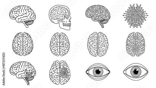 Brain anatomy digital circuits and human eyes a composite illustration