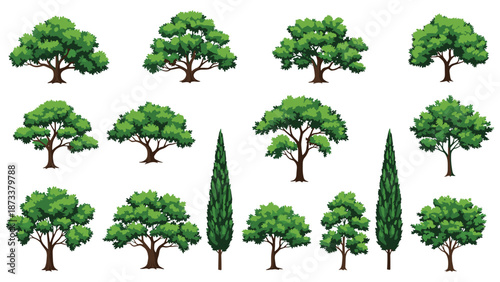 Diverse collection of green tree illustrations including various shapes like oaks and cypresses for landscaping and environmental design projects.