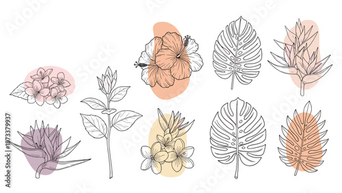 Hand drawn tropical flowers and leaves sketches with pastel color shapes including hibiscus, plumeria, and monstera.