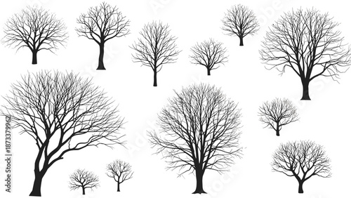 Collection of leafless tree silhouettes in black showing various branches and trunk structures on a white background.