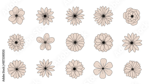 Set of delicate flower blossom sketches in a soft cream color with detailed petal patterns on a white background.