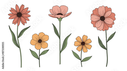 Selection of wild flowers with detailed petals and green leaves in soft pink and orange tones on white background.