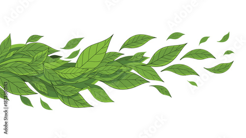 Wave of green leaves blowing in the wind representing fresh tea or natural spring energy on a white background.