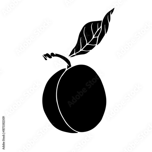 Summer apricot silhouette, simple stamps of seasonal fruits. Vector graphics.