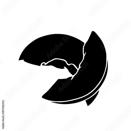 Summer apricot silhouette, simple stamps of seasonal fruits. Vector graphics.