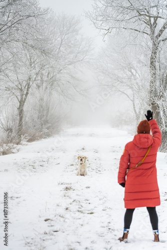 Woman raises hand to train Labrador retriever sitting on snowy path in foggy winter forest
