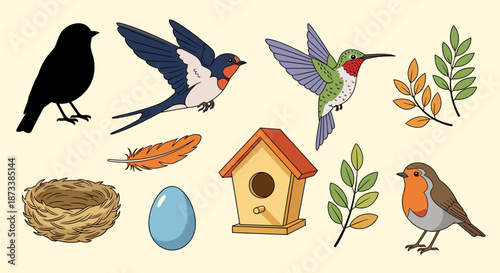 Delightful Collection of Birds, Nests, Eggs, and Foliage Depicts the Beauty of Nature and Wildlife, Perfect for Educational Resources, Springtime Designs, Ornithology Studies,.
