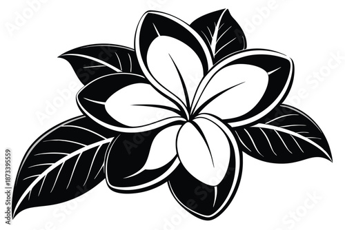 Tropical Plumeria Frangipani Flower Silhouette, Black and White Minimalist Floral Vector Art