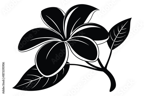 Clean Black Plumeria Silhouette Vector Graphic for Minimalist Wall Art