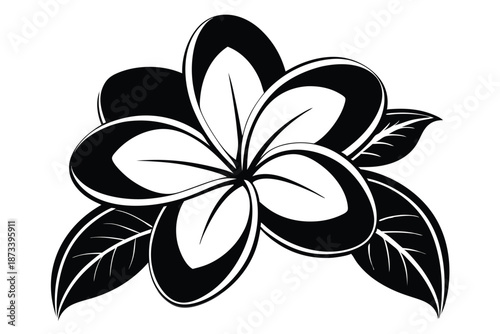 Delicate Frangipani Flower Outline Silhouette for Natural Product Packaging